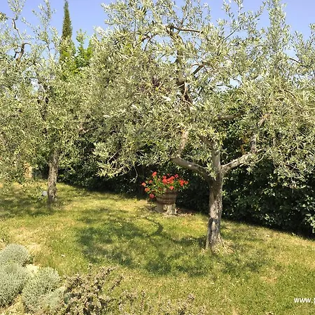 Il Sasso